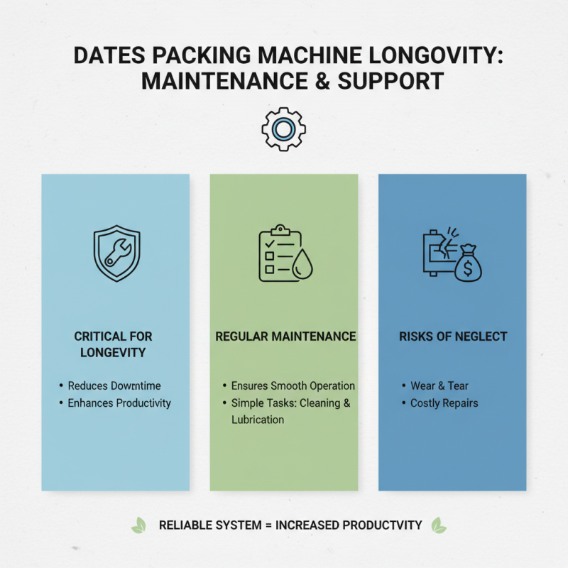 How to Choose the Best Dates Packing Machine for Your Needs?