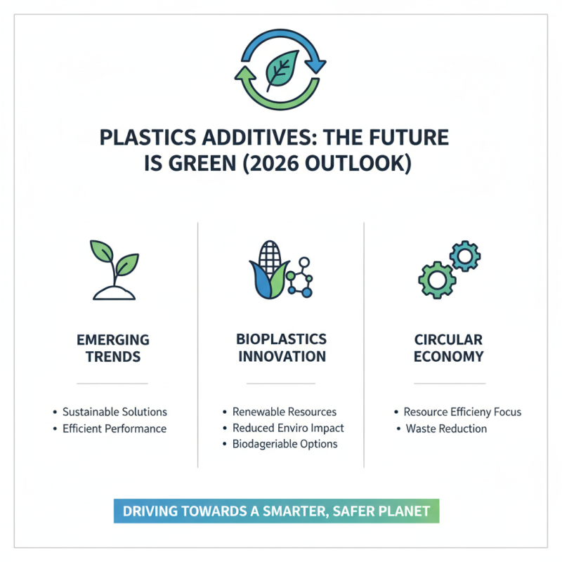 2026 Top Plastic Additives You Need to Know About?
