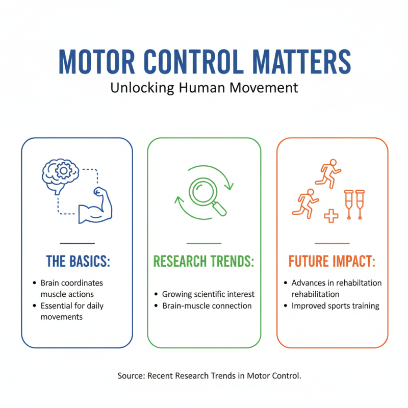 What is Motor Control and How Does It Influence Human Movement?