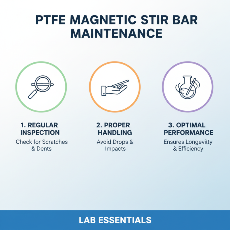 Top 10 Lab Ptfe Magnetic Stir Bars What You Need to Know?