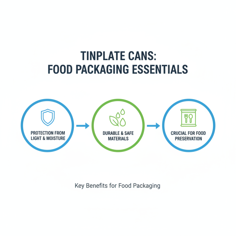 What is Tinplant Can Components and Their Uses?
