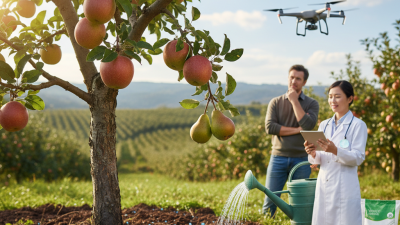 2026 Top Water Soluble Fruit Tree Fertilizer Guide?