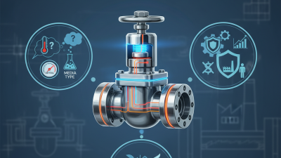 2026 Best Safety Valve Options for Superior Protection?