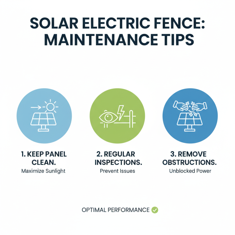 What is the Best Solar Electric Fence for Livestock?