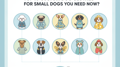 Top 10 Custom Dog Clothes for Small Dogs You Need Now?