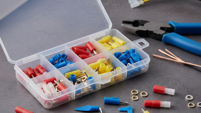 2026 Best Nylon Insulated Terminal Types and Uses Explained?