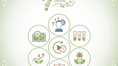 How to Use Single Herb Granules for Optimal Health Benefits?