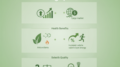 Why is Matcha Powder So Popular for Health Benefits?