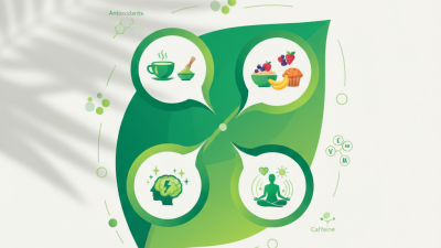 How to Use Matcha Powder for Health and Wellness Benefits?