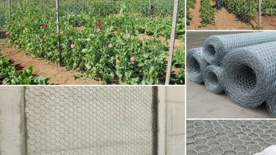 2026 Best Hexagonal Wire Mesh Applications and Benefits?