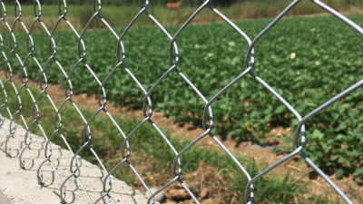 What is hexagonal wire mesh and its applications?