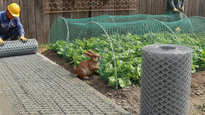 How to Use Hexagonal Wire Mesh for Various Applications?