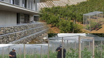 Top 10 Uses of Hexagonal Wire Mesh in Construction and Farming?