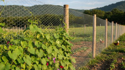 How to Use Hexagonal Wire Mesh for Fencing and Gardening?