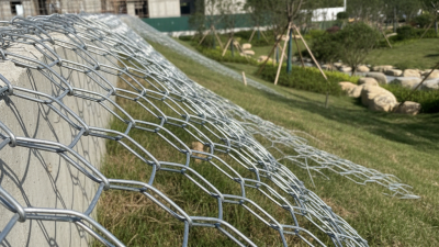What is Hexagonal Wire Mesh and Its Applications?