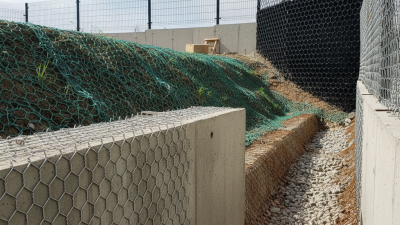 What is hexagonal wire mesh and its uses in construction?