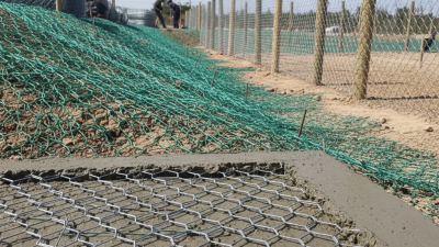 What is Hexagonal Wire Mesh Used For in Construction?