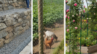 Best Hexagonal Wire Mesh Uses and Benefits Explained?