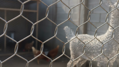 What is Hexagonal Wire Mesh and How is it Used?