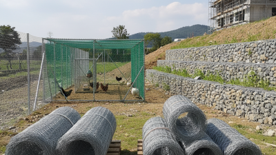 2026 Best Hexagonal Wire Mesh Types and Uses Explained?