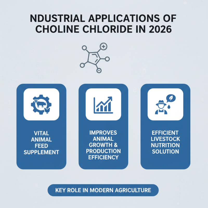 Wholesale Choline Chloride Benefits and Uses in 2026?