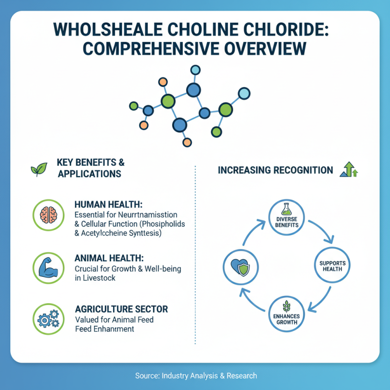 Wholesale Choline Chloride Benefits and Uses in 2026?