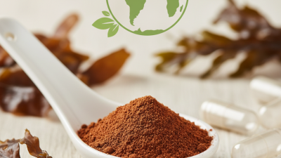 Top Fucoxanthin Powder Manufacturers in 2026 What to Know?