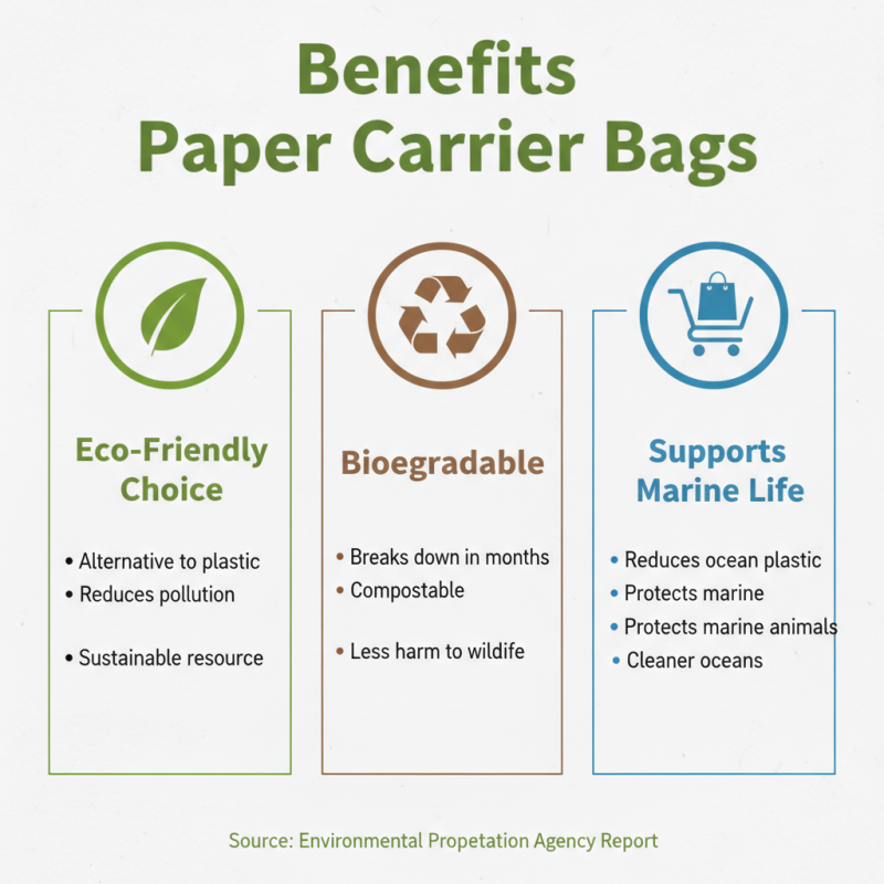 What is a Paper Carrier Bag and its Benefits for Eco Friendly Shopping?