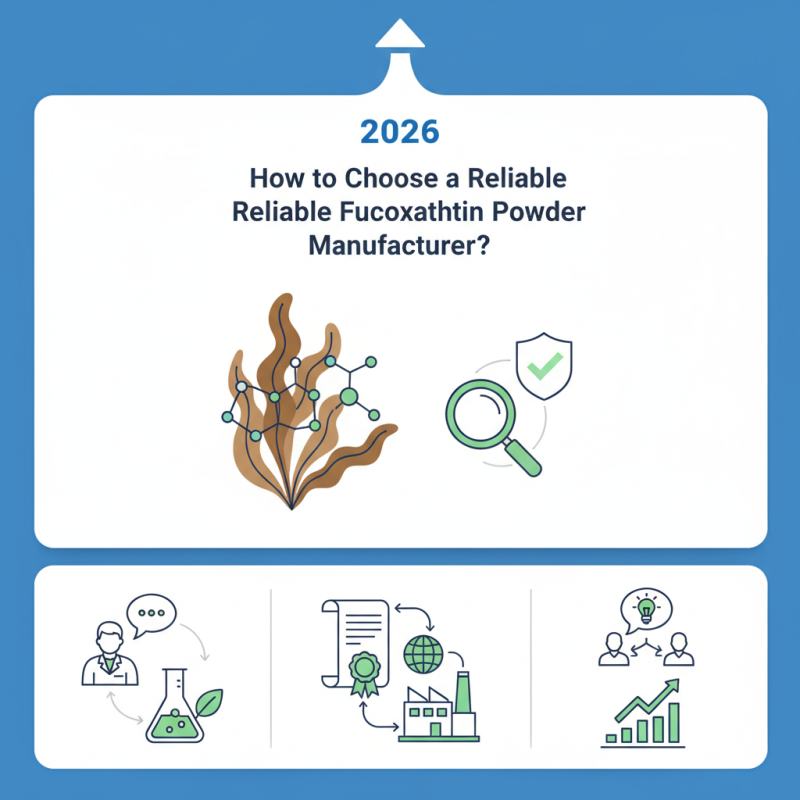 2026 How to Choose a Reliable Fucoxanthin Powder Manufacturer?