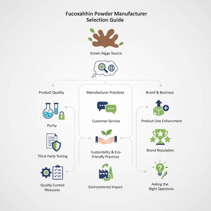 How to Choose the Best Fucoxanthin Powder Manufacturer?
