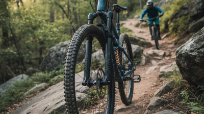 2026 Best Coil Fork Reviews and Buying Guide Why Choose?