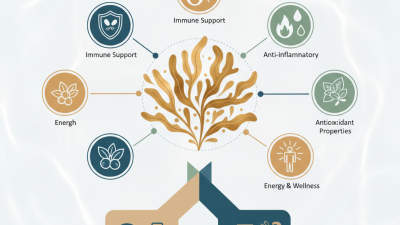 What is Fucoidan and How Does it Benefit Your Health?