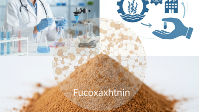 What is Fucoxanthin Powder and Why Choose a Manufacturer?