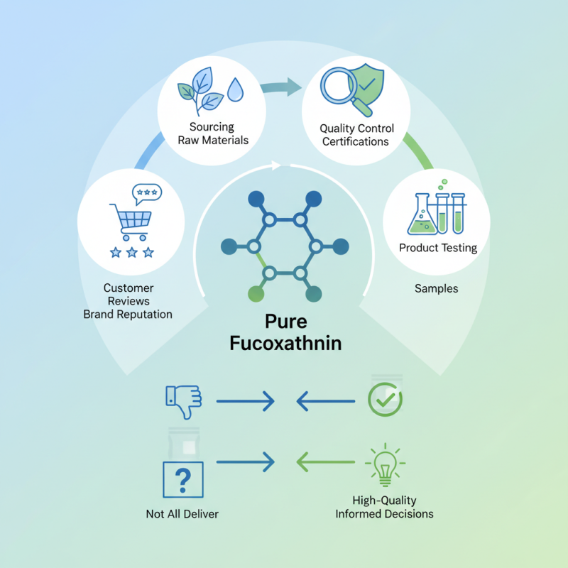 How to Choose the Best Fucoxanthin Powder Manufacturer?