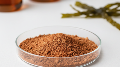 Top 10 Fucoxanthin Powder Manufacturers You Should Know?