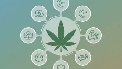 Top 10 Benefits of Cbd Extract for Health and Wellness?