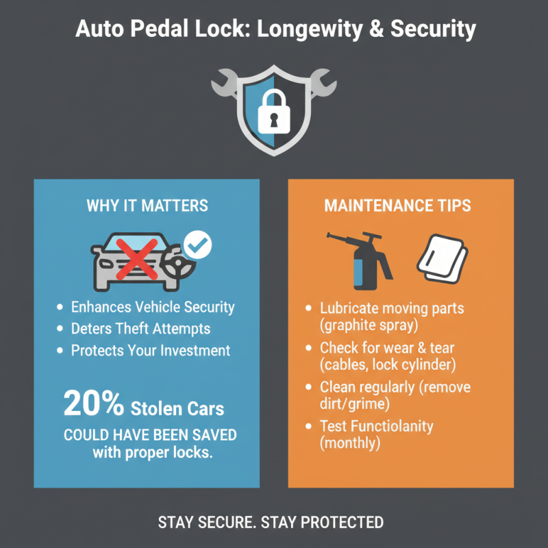10 Best Auto Pedal Locks for Ultimate Vehicle Security