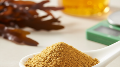 What is Fucoxanthin Powder and Why Choose a Manufacturer?