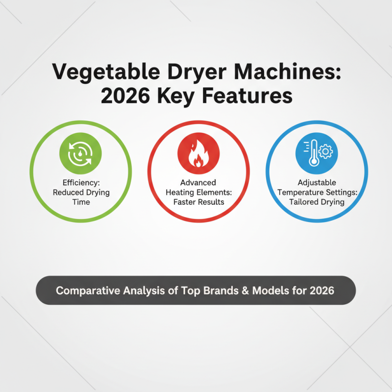 2026 Top Vegetable Dryer Machine Features and Benefits?