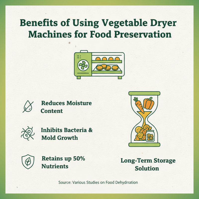 2026 Top Vegetable Dryer Machine Features and Benefits?