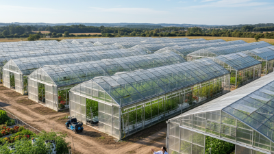 2026 Top Benefits of Multi Span Greenhouses Explained