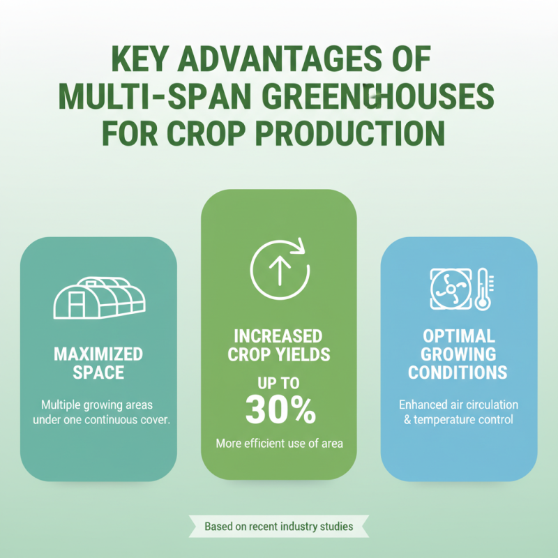 2026 Top Benefits of Multi Span Greenhouses Explained