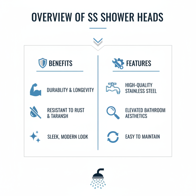 2026 Best S S Shower Head Reviews and Buying Guide?