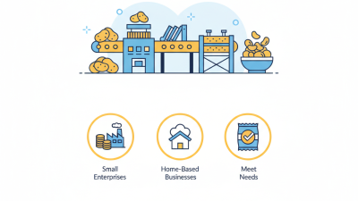 What is a Small Scale Potato Chips Machine and How to Choose One?