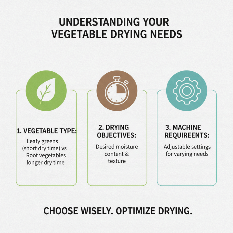How to Choose the Best Vegetable Dryer Machine for Your Needs