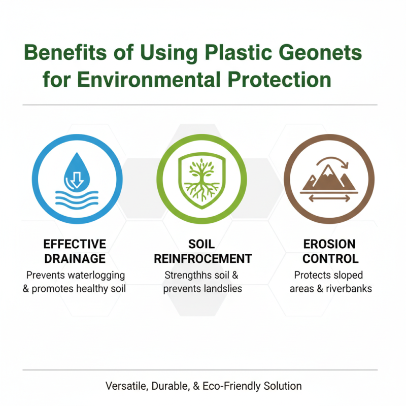 2026 Best Plastic Geonet Applications and Benefits Explained?