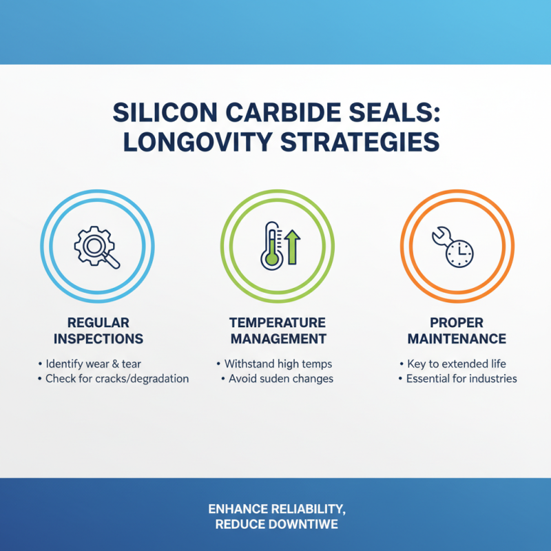 2026 How to Effectively Use Silicon Carbide Seal in Modern Applications?