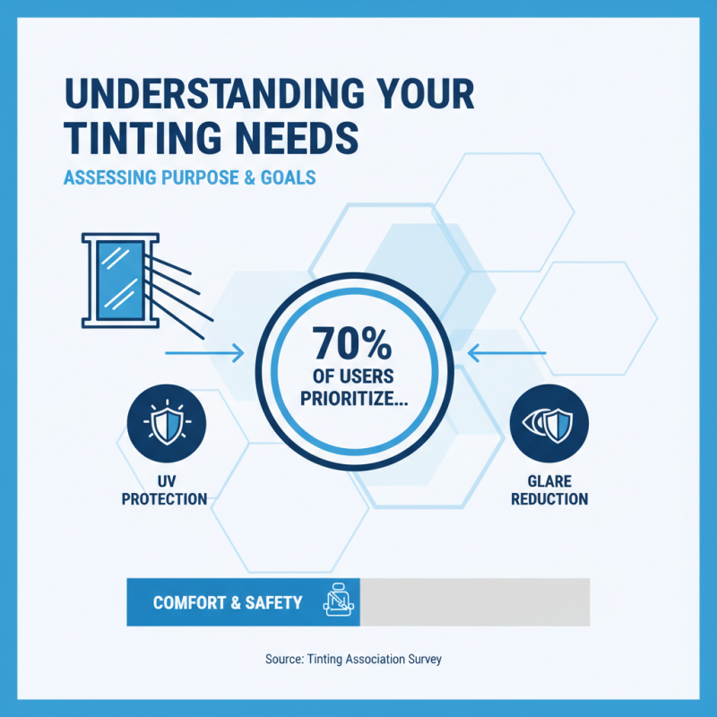 Top Tips for Choosing the Best Tint Program for Your Needs?