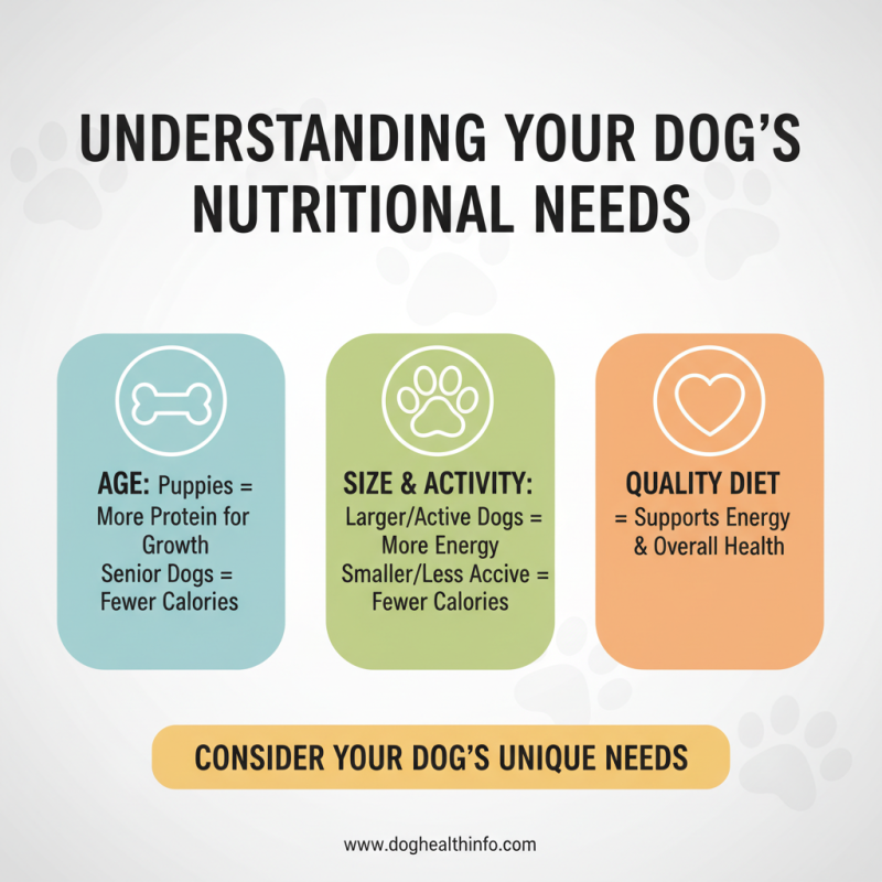 How to Order Dog Food Online the Right Way?