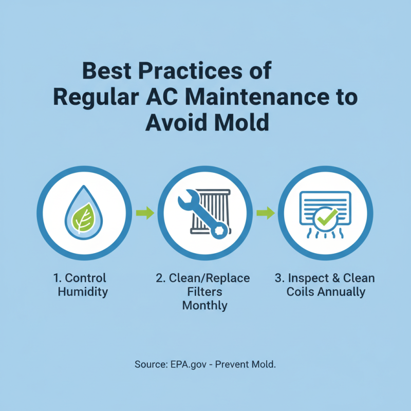 What is Air Conditioning Mold and How to Prevent It?